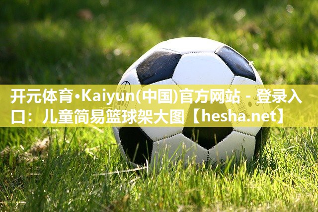 开元体育·Kaiyun(中国)官方网站 - 登录入口：儿童简易篮球架大图