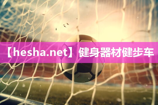 健身器材健步车 健身器材健步车